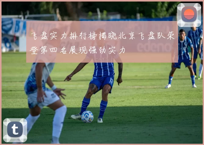 飞盘实力排行榜揭晓北京飞盘队荣登第四名展现强劲实力