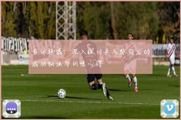 专访杨磊：深入探讨乒乓球背后的成功秘诀与训练心得