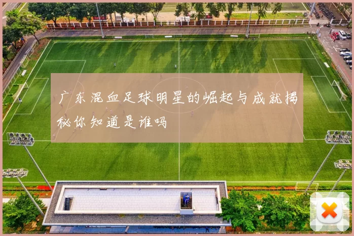 广东混血足球明星的崛起与成就揭秘你知道是谁吗