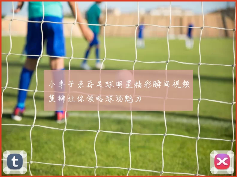 小李子亲荐足球明星精彩瞬间视频集锦让你领略球场魅力