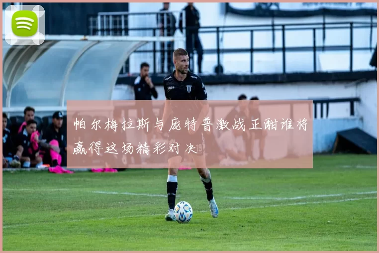 帕尔梅拉斯与庞特普激战正酣谁将赢得这场精彩对决